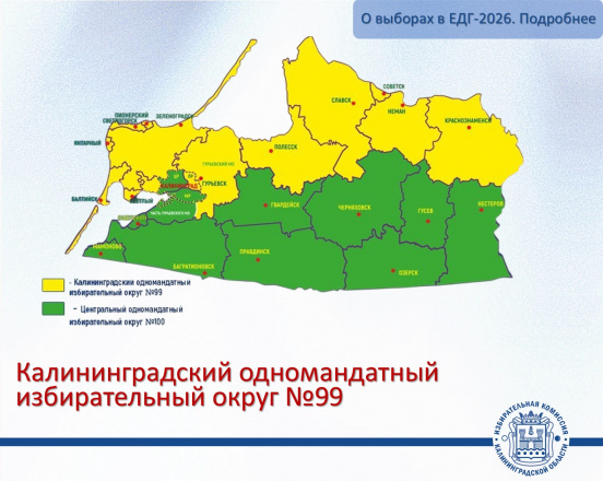 О выборах депутатов Государственной Думы РФ в ЕДГ-2026. Подробнее