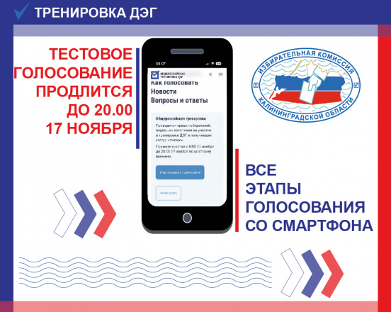 Тренировка дистанционного электронного голосования продолжается.