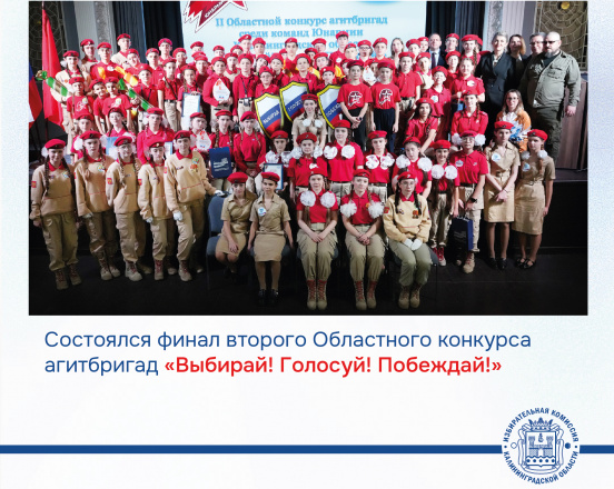 В Арт-резиденции «Дом молодежи» определились победители второго Областного конкурса агитбригад «Выбирай! Голосуй! Побеждай!»