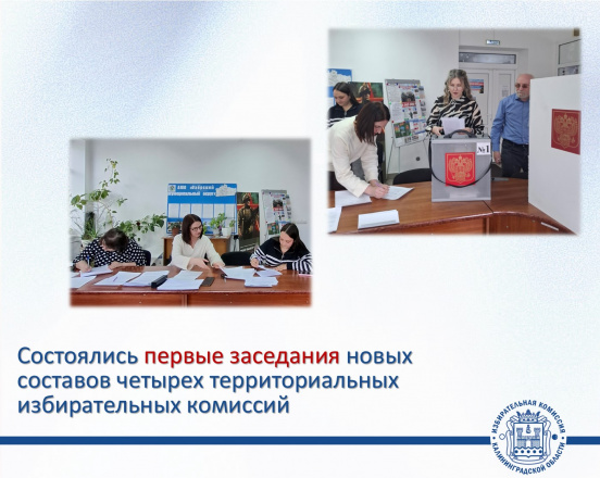 Состоялись первые заседания Светлогорской, Неманской, Правдинской и Озерской территориальных избирательных комиссий