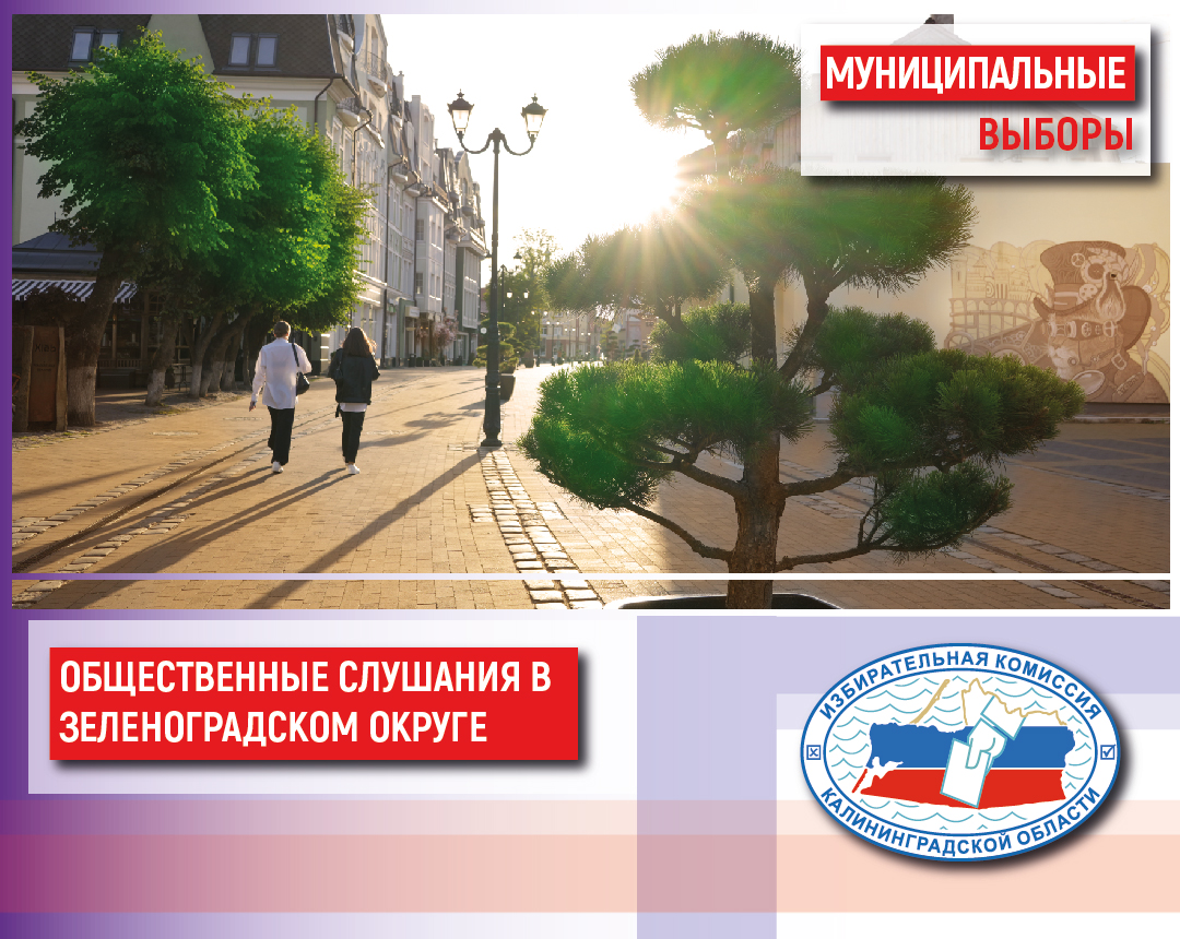 В Зеленоградском муниципальном округе назначены общественные слушания по внесению изменений в Устав муниципального образования