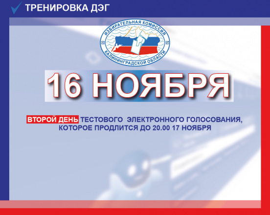 Тестовое электронное голосование. Второй день