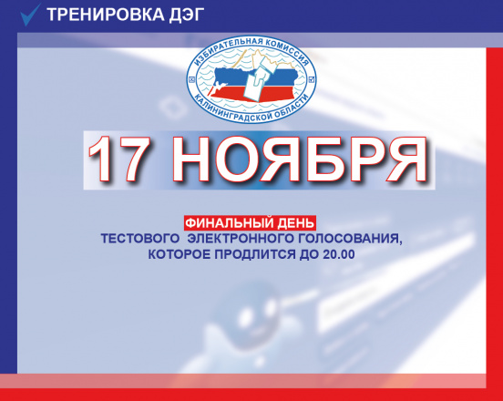 Тестовое электронное голосование. Финальный день