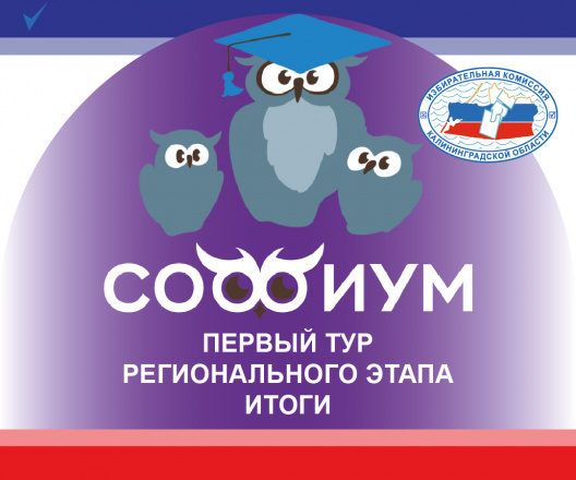 Завершился отборочный тур регионального этапа Всероссийской олимпиады школьников по вопросам избирательного права и избирательного процесса