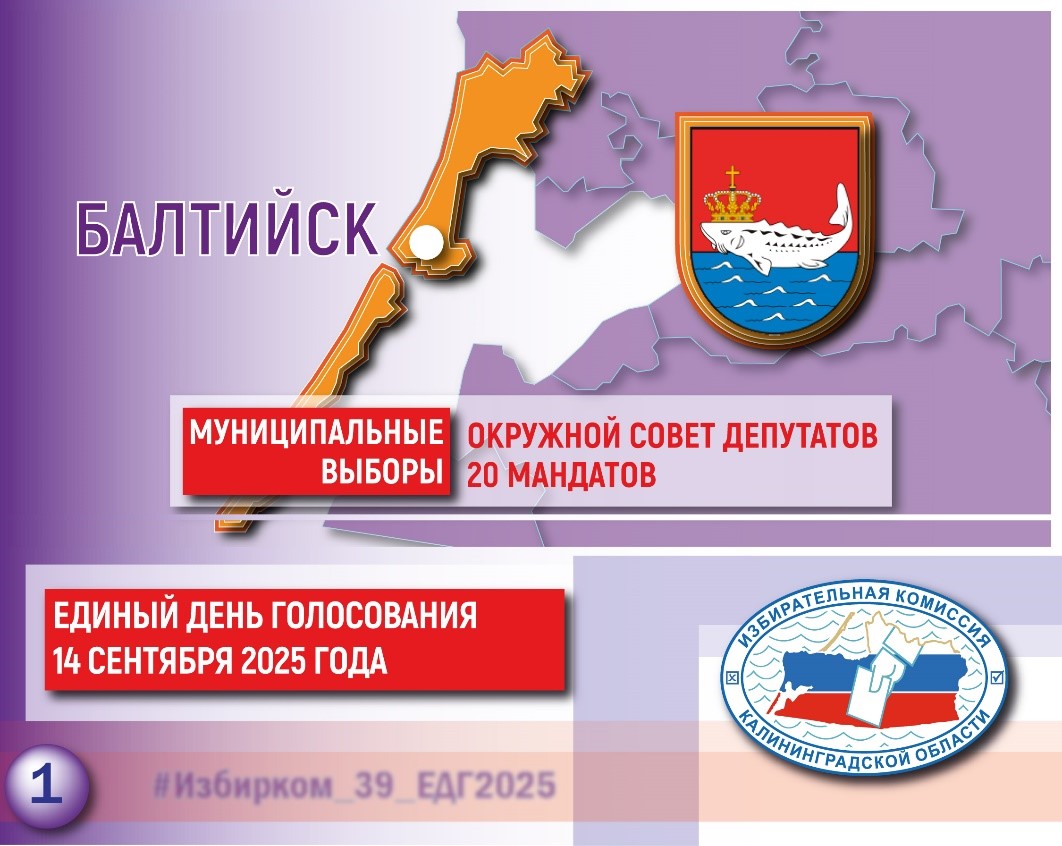 Выборы этой осени. Балтийский городской округ