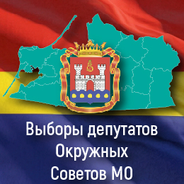 Муниципальные выборы 2026